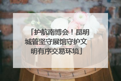 护航南博会！昆明城管坚守展馆守护文明有序交易环境