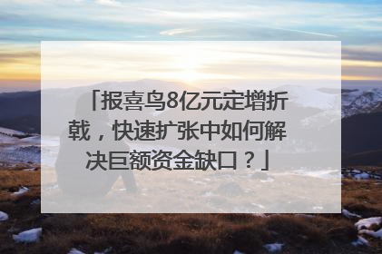 报喜鸟8亿元定增折戟，快速扩张中如何解决巨额资金缺口？
