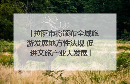 拉萨市将颁布全域旅游发展地方性法规 促进文旅产业大发展