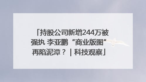 持股公司新增244万被强执 李亚鹏“商业版图”再陷泥潭？｜科技观察