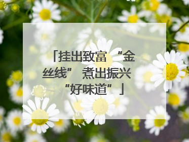 挂出致富 “金丝线” 煮出振兴“好味道”
