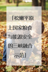 松嫩平原上国家粮食与能源安全的三峡融合示范