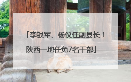 李银军、杨仪任副县长！陕西一地任免7名干部