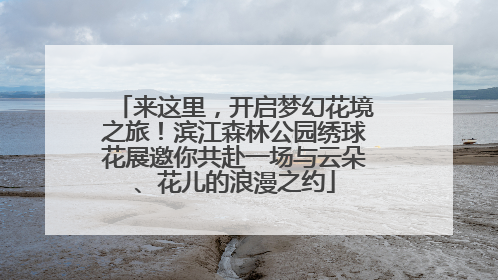 来这里，开启梦幻花境之旅！滨江森林公园绣球花展邀你共赴一场与云朵、花儿的浪漫之约