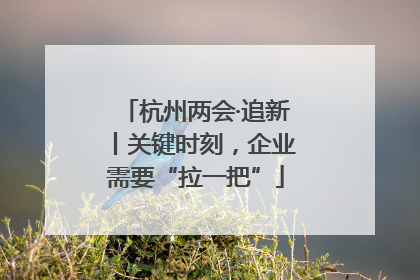 杭州两会·追新丨关键时刻，企业需要“拉一把”