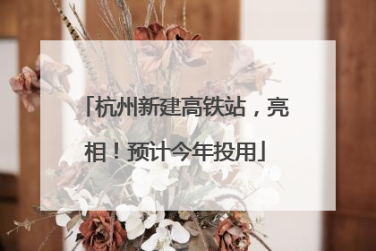 杭州新建高铁站，亮相！预计今年投用