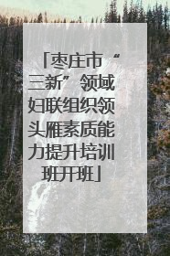 枣庄市“三新”领域妇联组织领头雁素质能力提升培训班开班