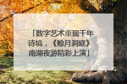 数字艺术重现千年诗境，《赊月洞庭》南湖夜游精彩上演