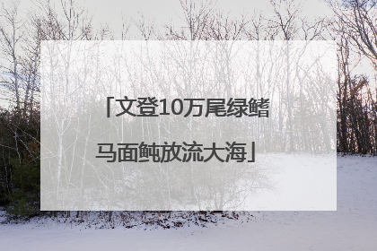 文登10万尾绿鳍马面鲀放流大海