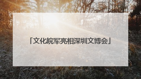 文化皖军亮相深圳文博会