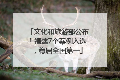 文化和旅游部公布！福建7个案例入选，稳居全国第一