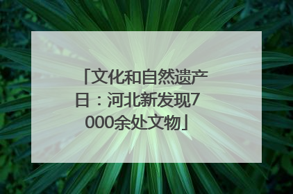 文化和自然遗产日：河北新发现7000余处文物