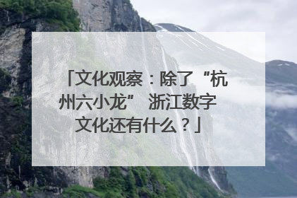 文化观察：除了“杭州六小龙” 浙江数字文化还有什么？