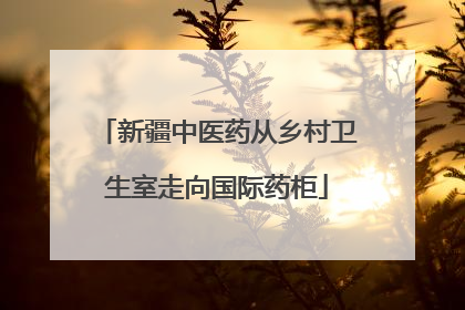 新疆中医药从乡村卫生室走向国际药柜