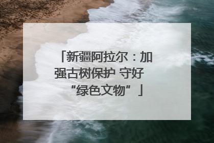 新疆阿拉尔：加强古树保护 守好“绿色文物”