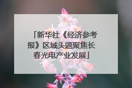 新华社《经济参考报》区域头题聚焦长春光电产业发展