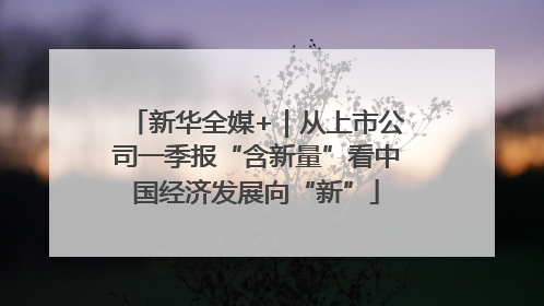 新华全媒+｜从上市公司一季报“含新量”看中国经济发展向“新”