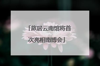 旅居云南馆将首次亮相南博会