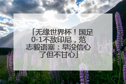 无缘世界杯！国足0-1不敌印尼，范志毅语塞：早没信心了但不甘心