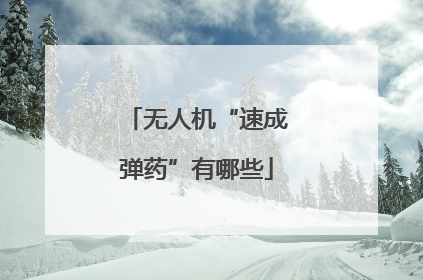 无人机“速成弹药”有哪些