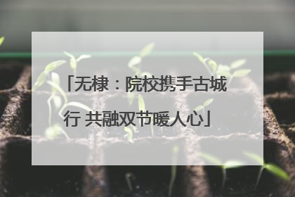 无棣：院校携手古城行 共融双节暖人心