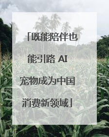 既能陪伴也能引路 AI宠物成为中国消费新领域