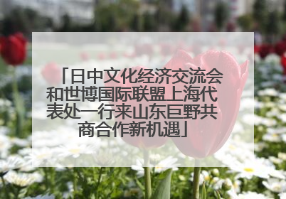日中文化经济交流会和世博国际联盟上海代表处一行来山东巨野共商合作新机遇