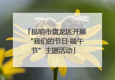 昆明市盘龙区开展“我们的节日·端午节”主题活动