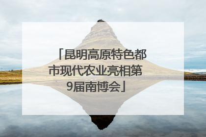 昆明高原特色都市现代农业亮相第9届南博会