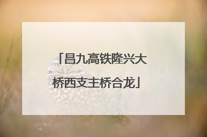 昌九高铁隆兴大桥西支主桥合龙