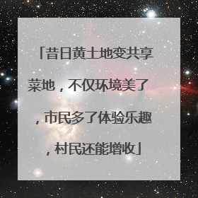 昔日黄土地变共享菜地，不仅环境美了，市民多了体验乐趣，村民还能增收
