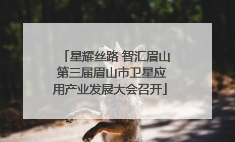 星耀丝路 智汇眉山 第三届眉山市卫星应用产业发展大会召开