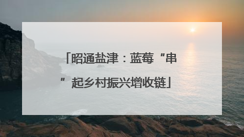 昭通盐津：蓝莓“串”起乡村振兴增收链