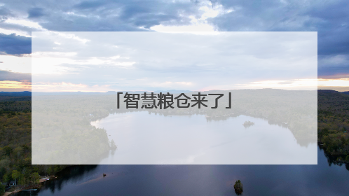 智慧粮仓来了
