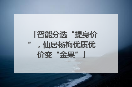 智能分选“提身价”，仙居杨梅优质优价变“金果”