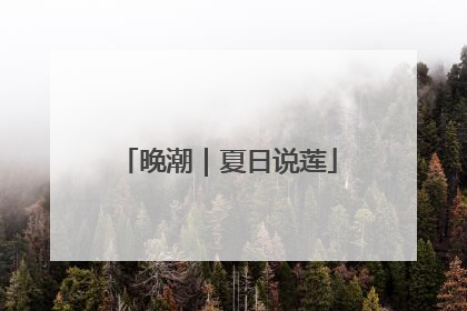 晚潮｜夏日说莲