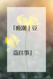 晚潮｜豆蔻往事