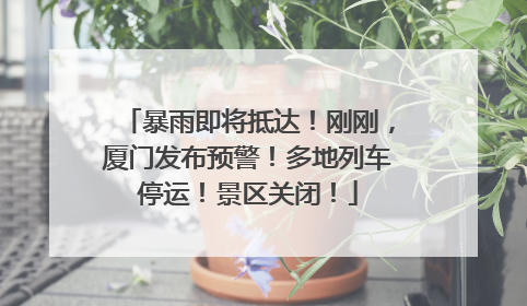 暴雨即将抵达！刚刚，厦门发布预警！多地列车停运！景区关闭！