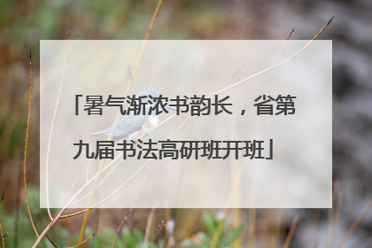 暑气渐浓书韵长，省第九届书法高研班开班