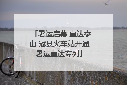 暑运启幕 直达泰山 冠县火车站开通暑运直达专列