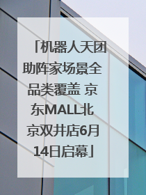 机器人天团助阵家场景全品类覆盖 京东MALL北京双井店6月14日启幕