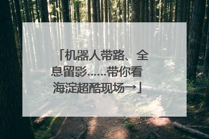 机器人带路、全息留影……带你看海淀超酷现场→