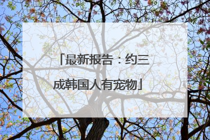 最新报告：约三成韩国人有宠物