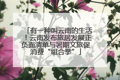 有一种叫云南的生活！云南发布旅居发展正负面清单与暑期文旅促消费“组合拳”
