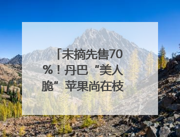 未摘先售70%！丹巴“美人脆”苹果尚在枝头就被预订｜长征路上看四川