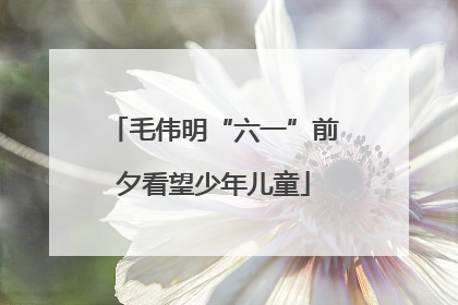 毛伟明“六一”前夕看望少年儿童