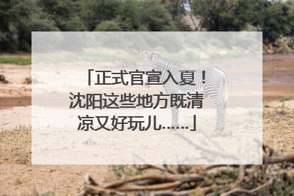 正式官宣入夏！沈阳这些地方既清凉又好玩儿……