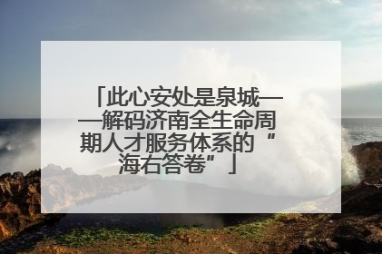 此心安处是泉城——解码济南全生命周期人才服务体系的“海右答卷”