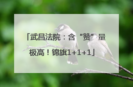 武昌法院：含“赞”量极高！锦旗1+1+1
