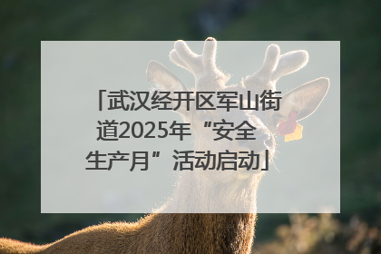 武汉经开区军山街道2025年“安全生产月”活动启动